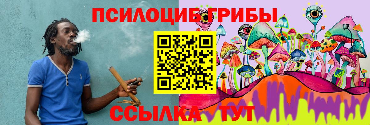 Псилоцибиновые грибы MAGIC MUSHROOMS  Вход с VPN  Донецк 